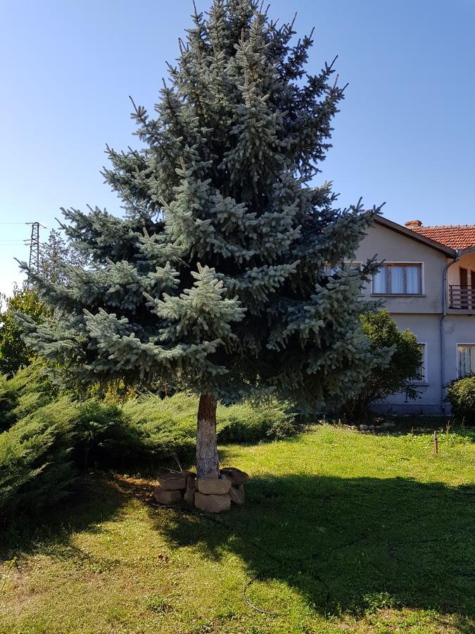 Guest House Sadovo Extérieur photo